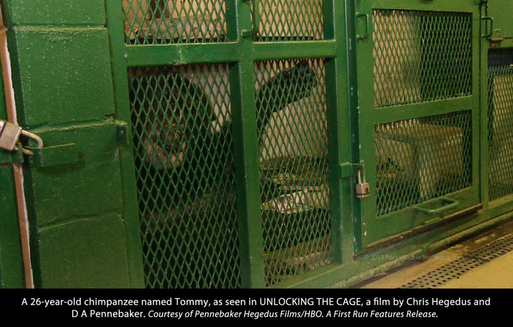 cagetommy