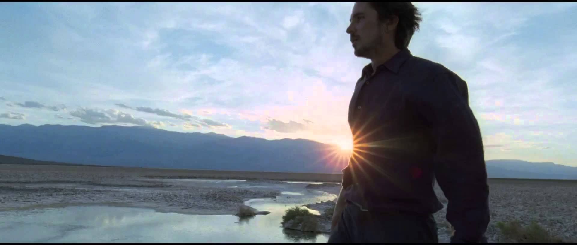 Knight of Cups: Are You Searching?
