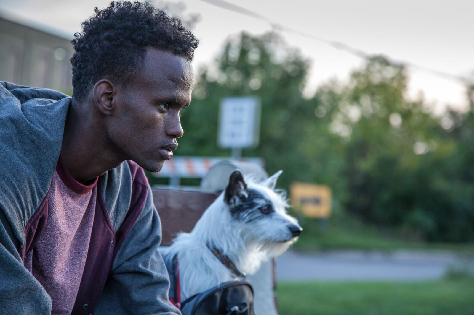 A Stray – Finding a Home