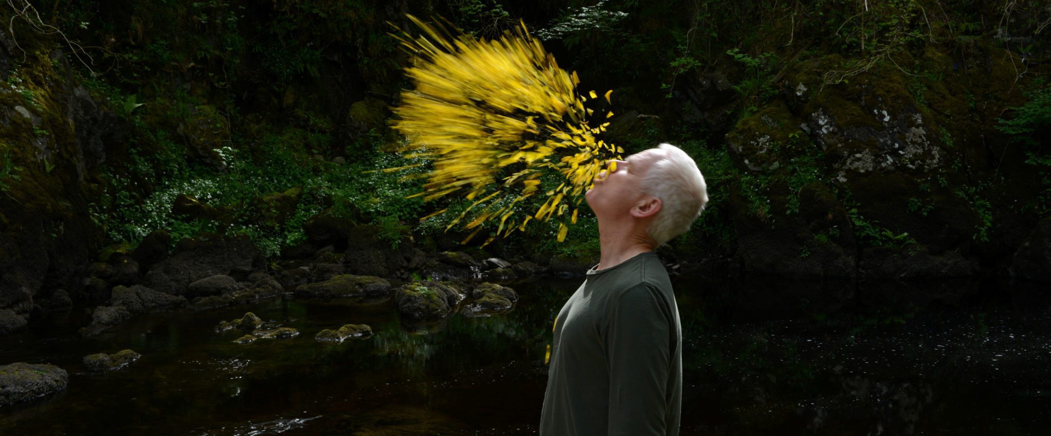 Leaning into the Wind – The Art of Nature, Time, and Andy Goldsworthy