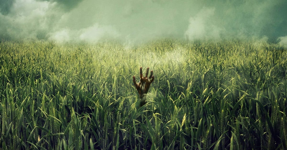 teenFish#6: Getting Lost IN THE TALL GRASS