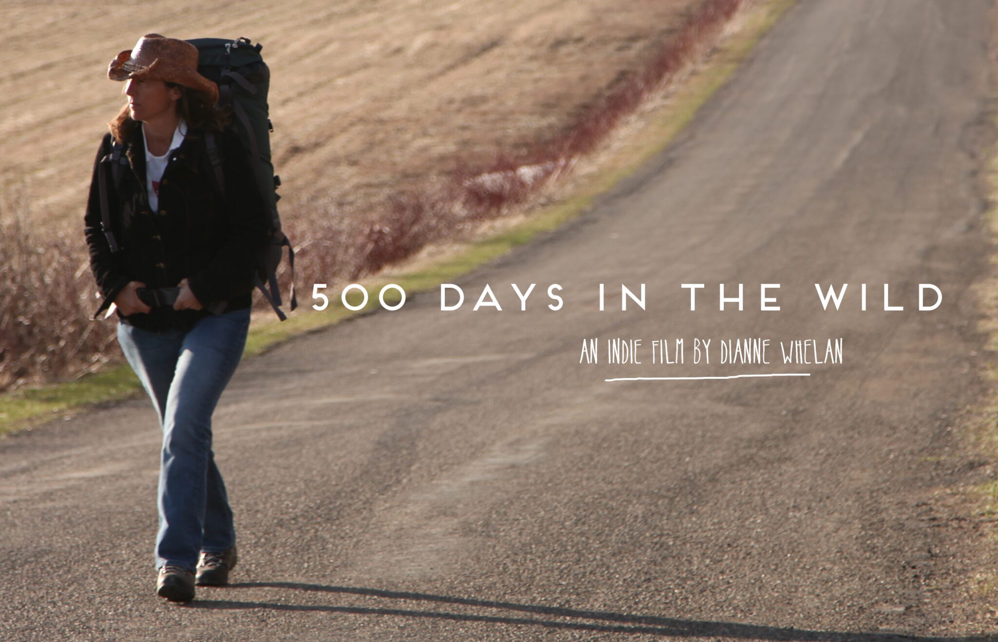 500 Day in the Wild: A Different Type of Road Trip