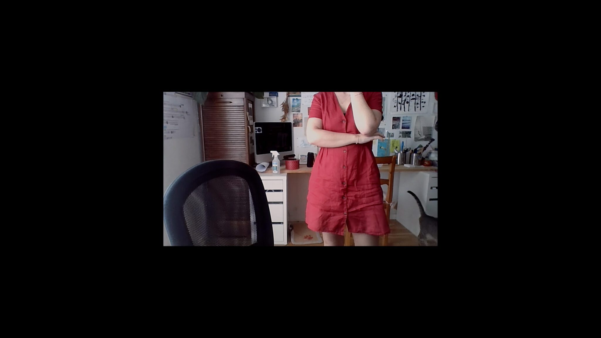 HotDocs 24: My Sextortion Diary
