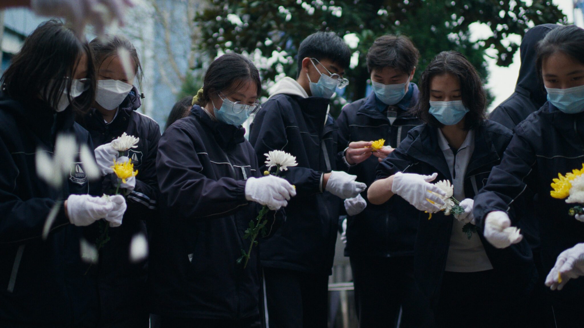 Sundance: Death Education – Meditative short