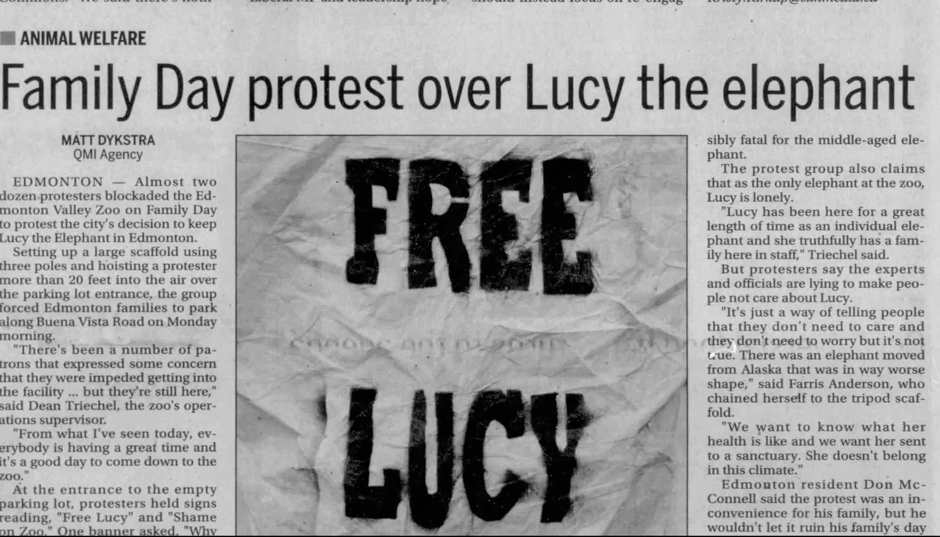 Lucy: The Stolen Lives of Elephants – You may never view a zoo the same way again