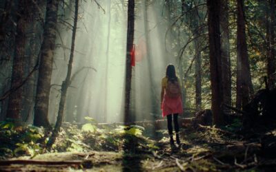 Kryptic: Kourtney Roy takes us into the woods and into the weird