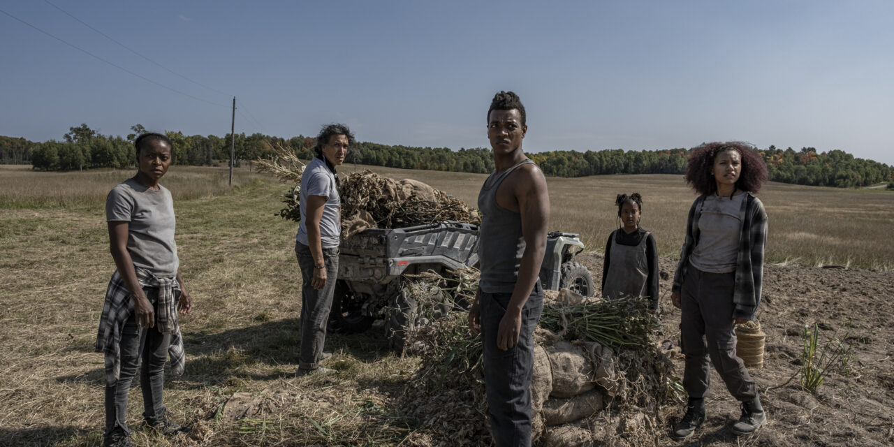 40 Acres: One of the year’s best thrillers, 40 Acres is firing on all cylinders