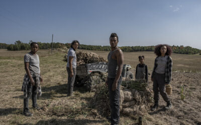 40 Acres: One of the year’s best thrillers, 40 Acres is firing on all cylinders