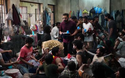 TIFF ’25: Monkey in a Cage