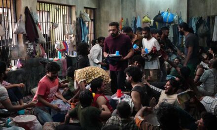 TIFF ’25: Monkey in a Cage