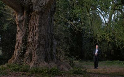 TIFF ’25: Silent Friend – Isolation & Nature