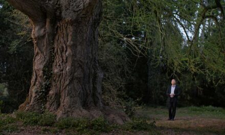 TIFF ’25: Silent Friend – Isolation & Nature