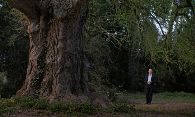 TIFF ’25: Silent Friend – Isolation & Nature