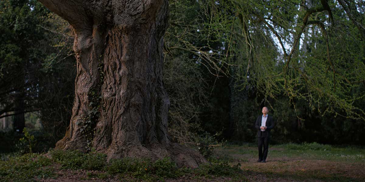 TIFF ’25: Silent Friend – Isolation & Nature