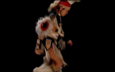 The Business of Fancydancing: Two Spirits