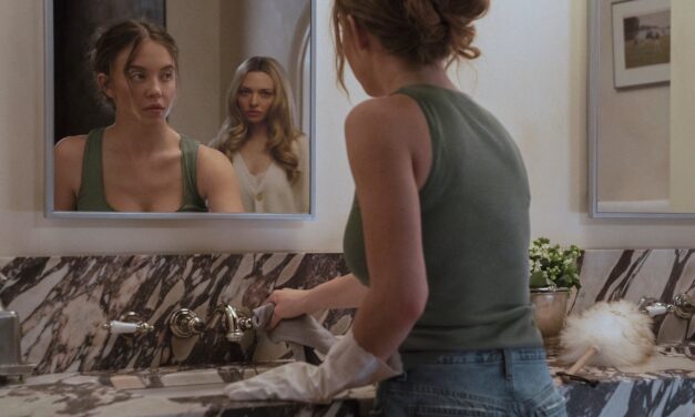 The Housemaid – A Twist on the Soapy Thriller