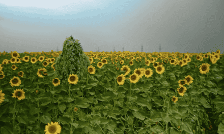 Meduza: Connected sniper