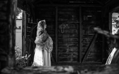 Hot Docs ’26: INDIVISUM – Legacies Adrift
