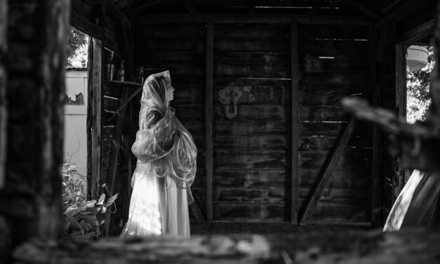 Hot Docs ’26: INDIVISUM – Legacies Adrift
