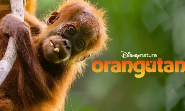 Orangutan: Disneynature finds family amongst the treetops