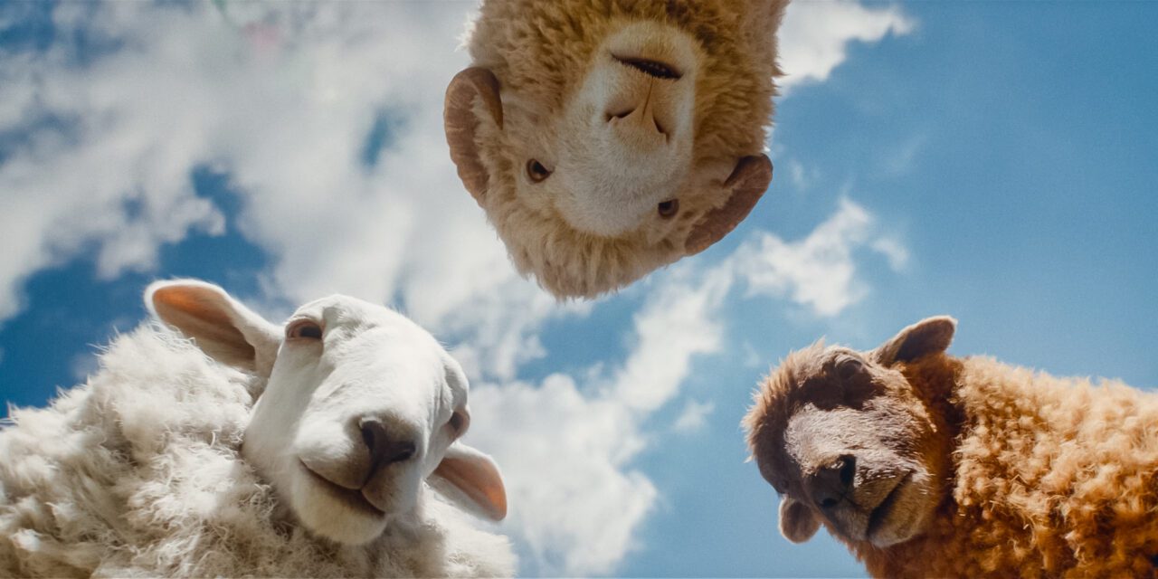 The Sheep Detectives: Don’t be sheepish. This farm is wonderful.