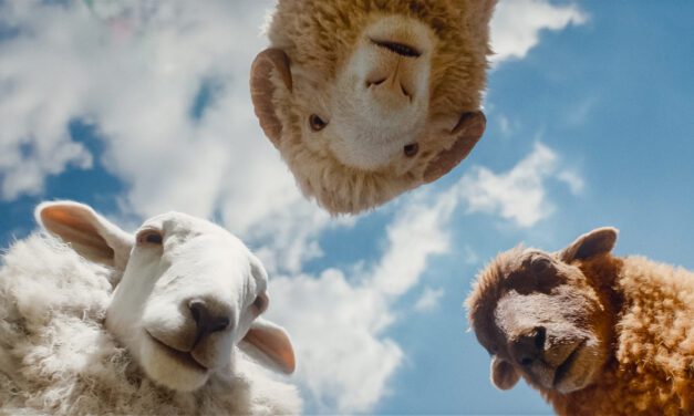 The Sheep Detectives: Don’t be sheepish. This farm is wonderful.