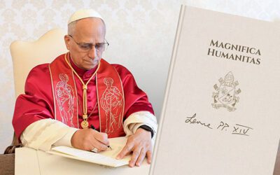 Magnifica Humanitas: Today’s vital construction sites