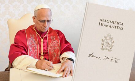 Magnifica Humanitas: Today’s vital construction sites